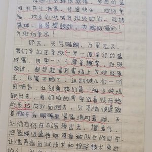 篮球训练的感悟心得体会500字怎么写
